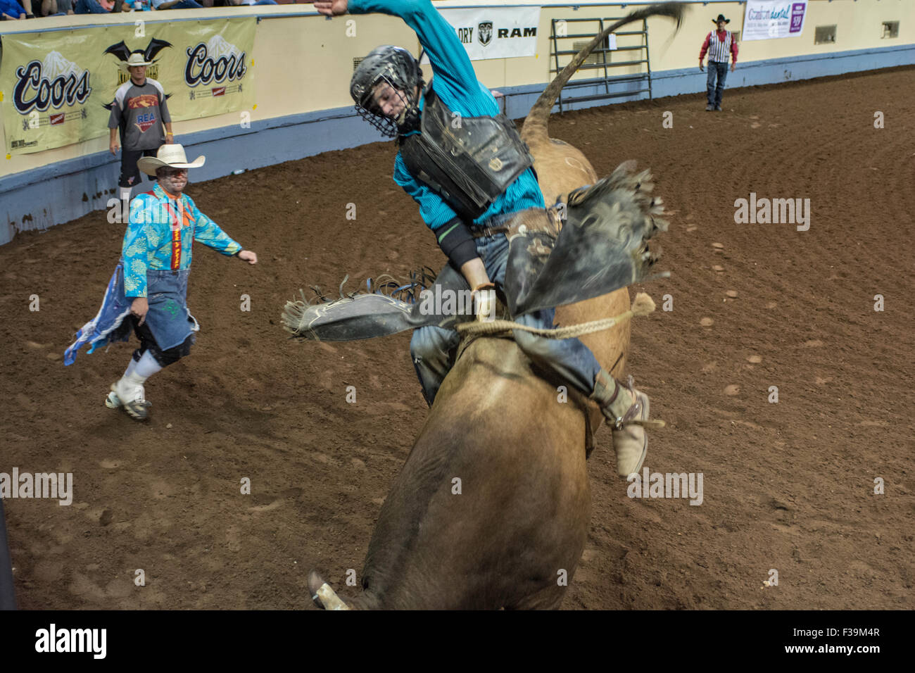 Cowboy riding bucking bull during rodeo in Oklahoma City, Oklahoma, USA