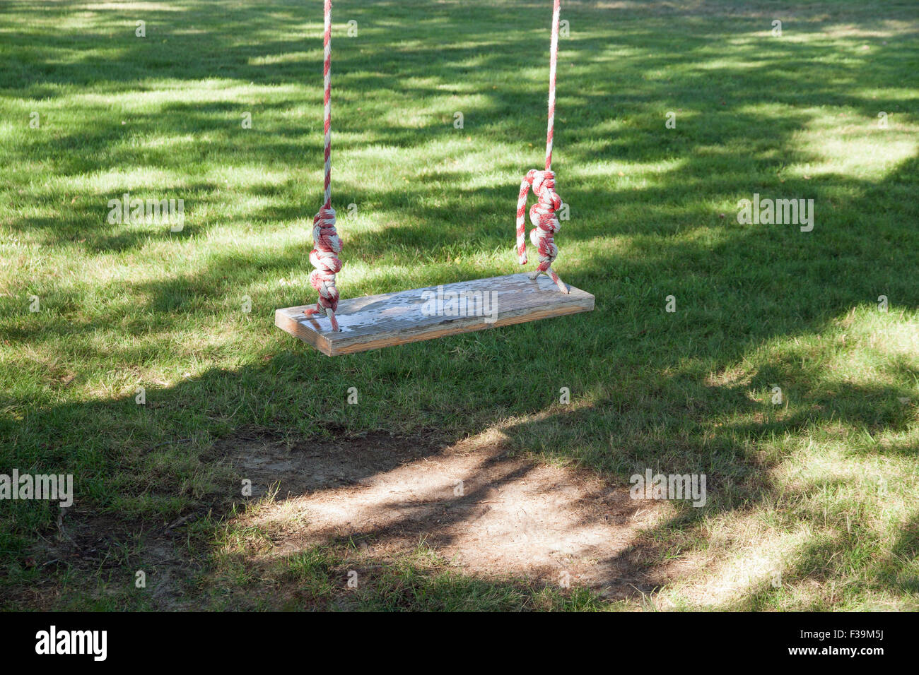 Wooden swing hanging from a tree in a yard. Stock Photo