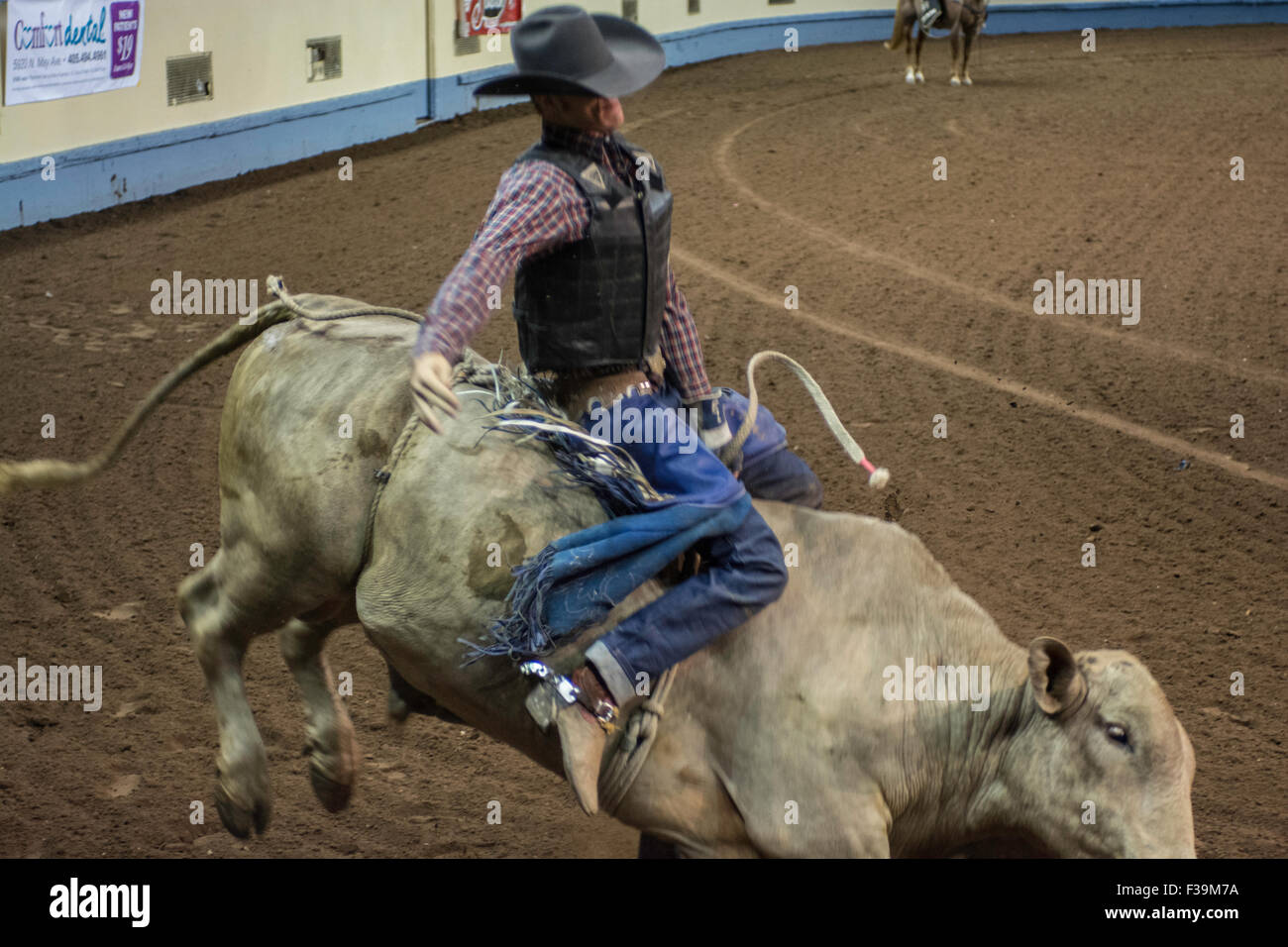 Cowboy riding bucking bull during rodeo in Oklahoma City, Oklahoma, USA