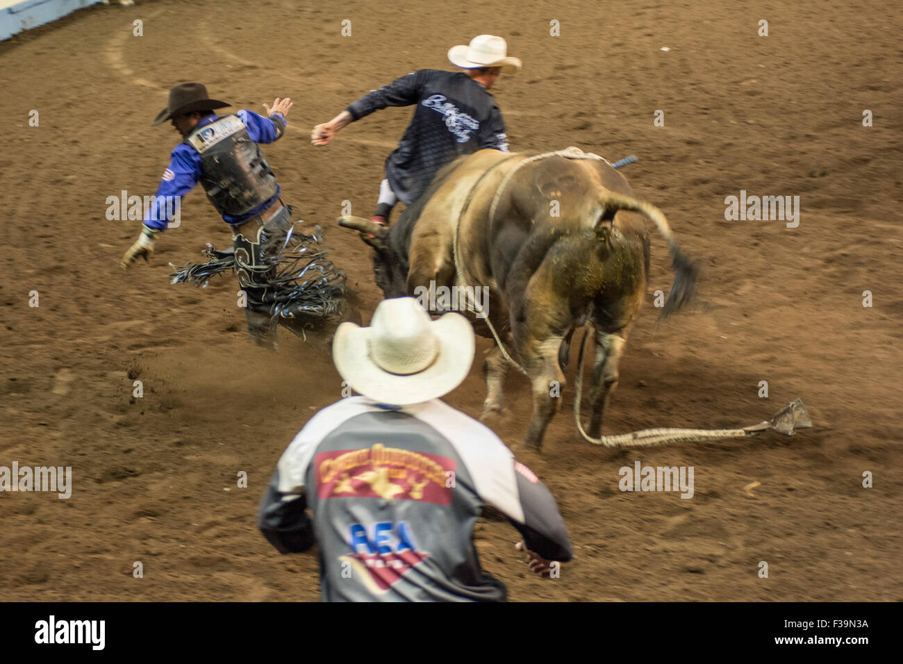 Cowboy riding bucking bull during rodeo in Oklahoma City, Oklahoma, USA
