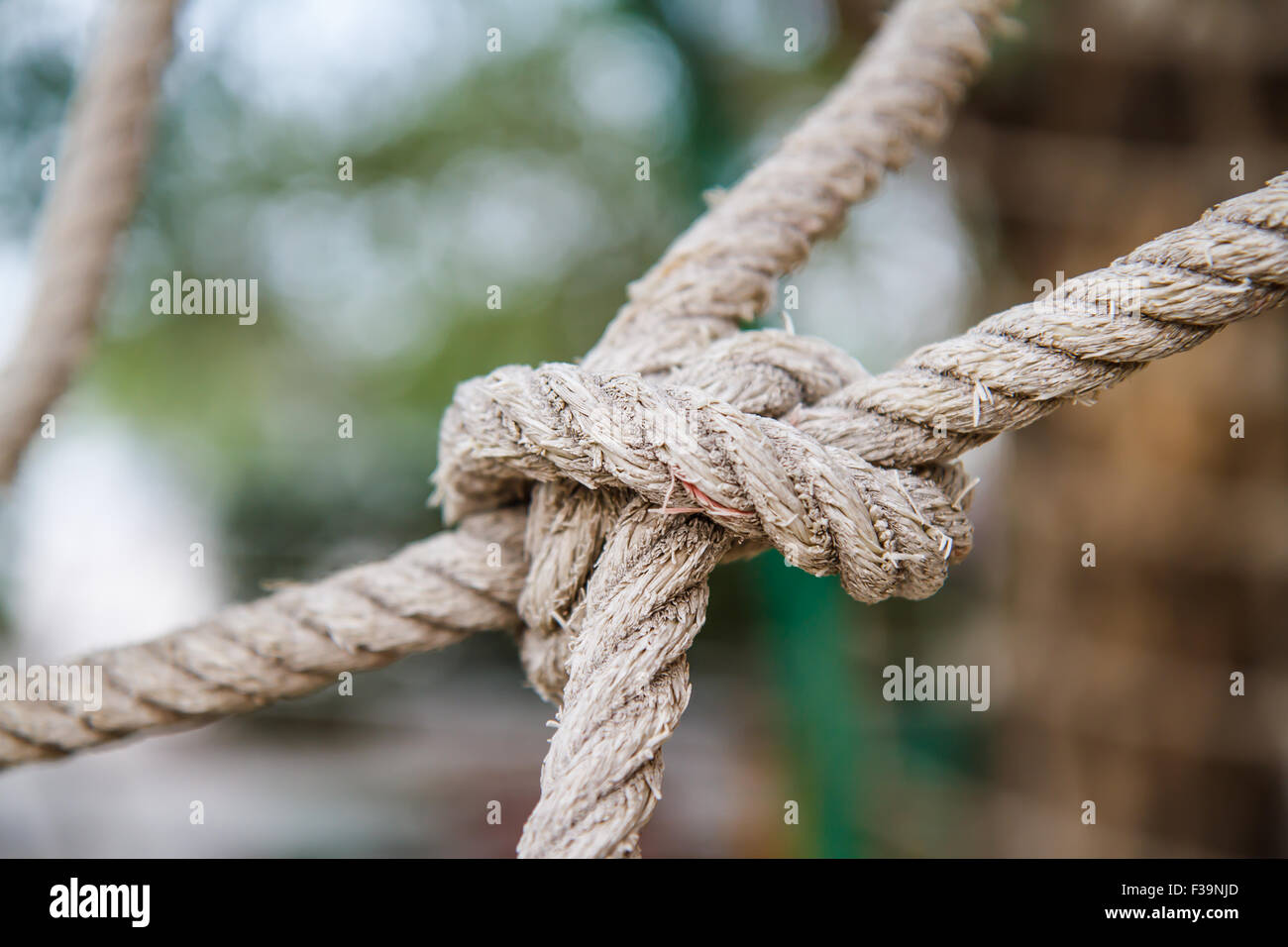 Rope knotted. Stock Photo