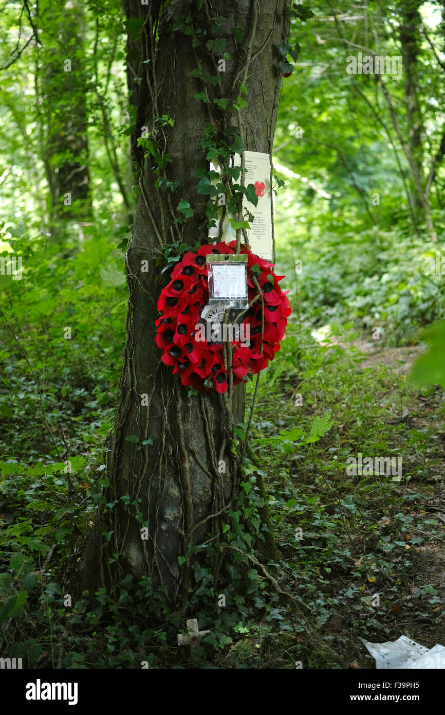 Memorial to a fallen soldier of the 36th Welsh Regiment in Mametz Wood who perished during the Bettle of the Somme in July 1916 Stock Photo