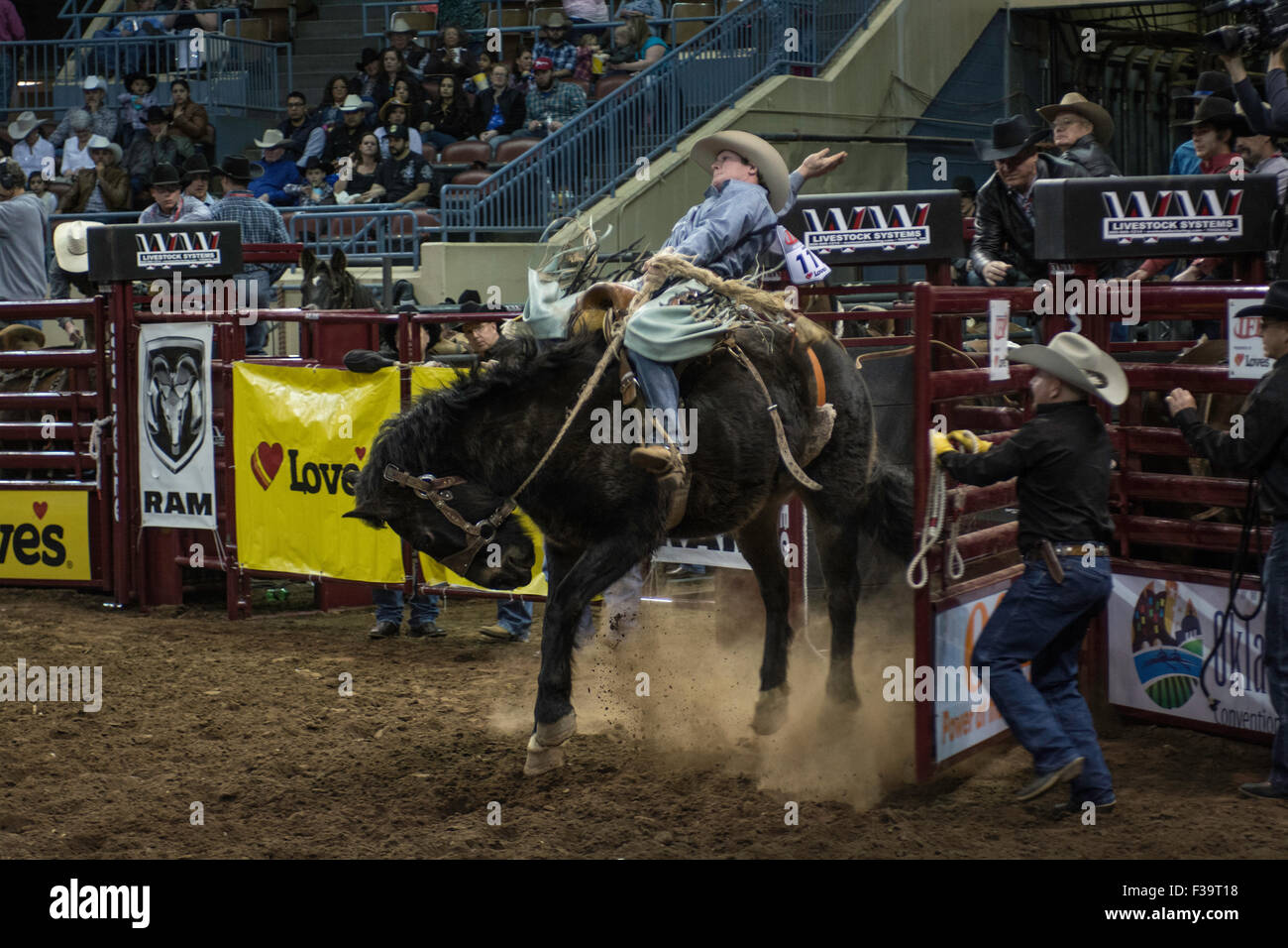 Cowboy riding bucking horse during rodeo in Oklahoma City, Oklahoma
