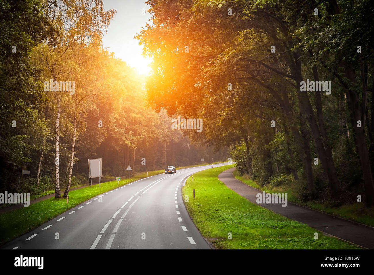 Asphalt road and forest Stock Photo - Alamy