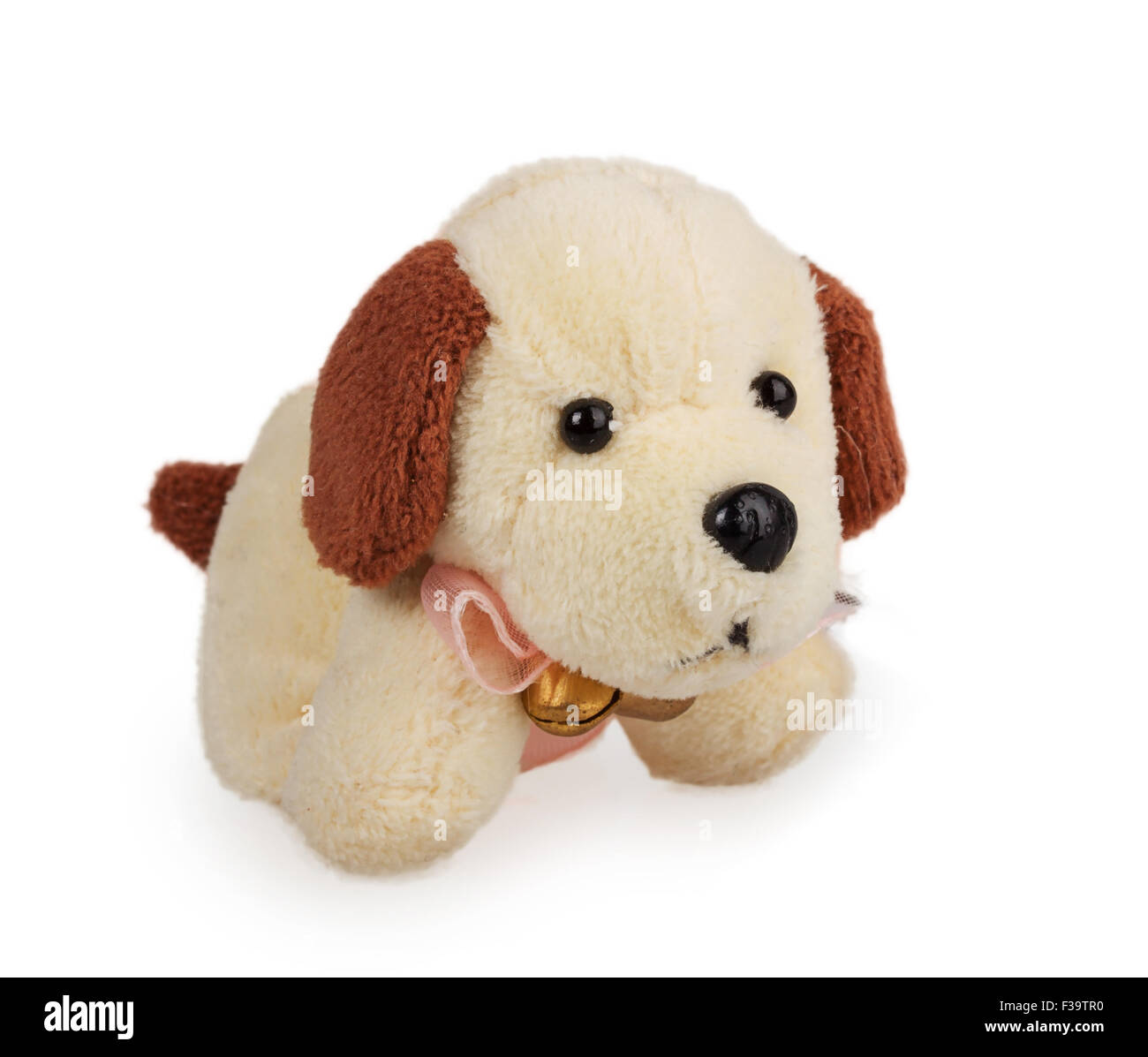 small soft toy dog isolated on white background Stock Photo