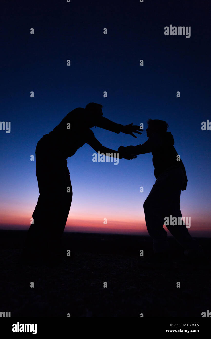 Fostering and parenting concept photo of a father and son in silhouette holding hands watching the sunset Stock Photo