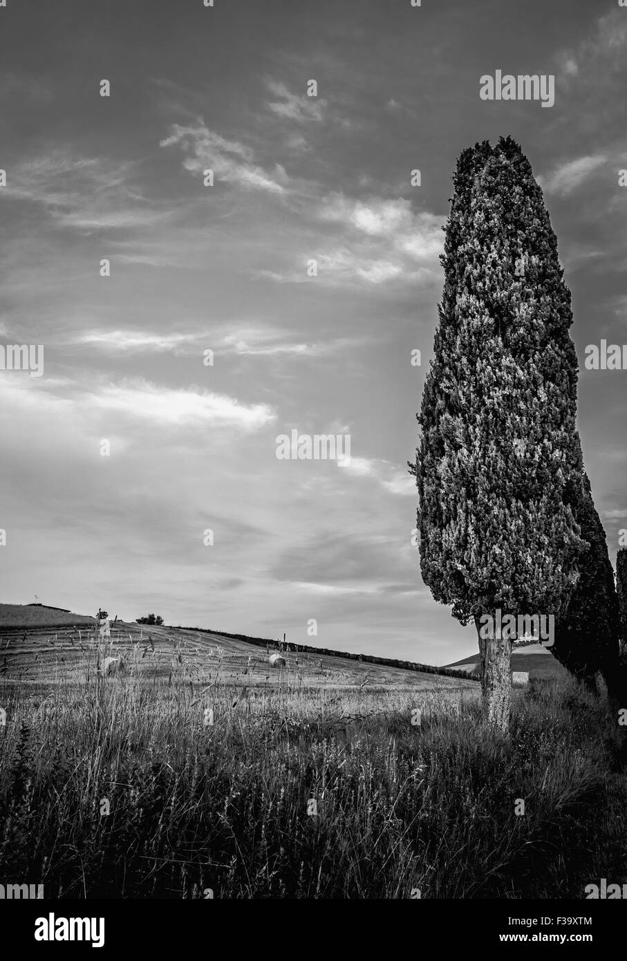 Tall haystack Black and White Stock Photos & Images - Alamy