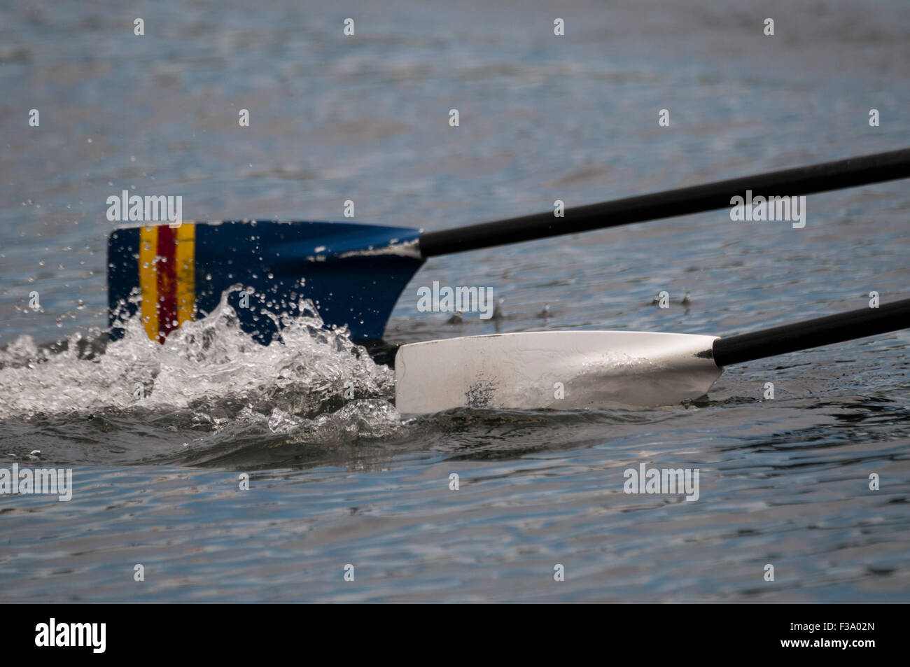Row boat oars in water Stock Photo