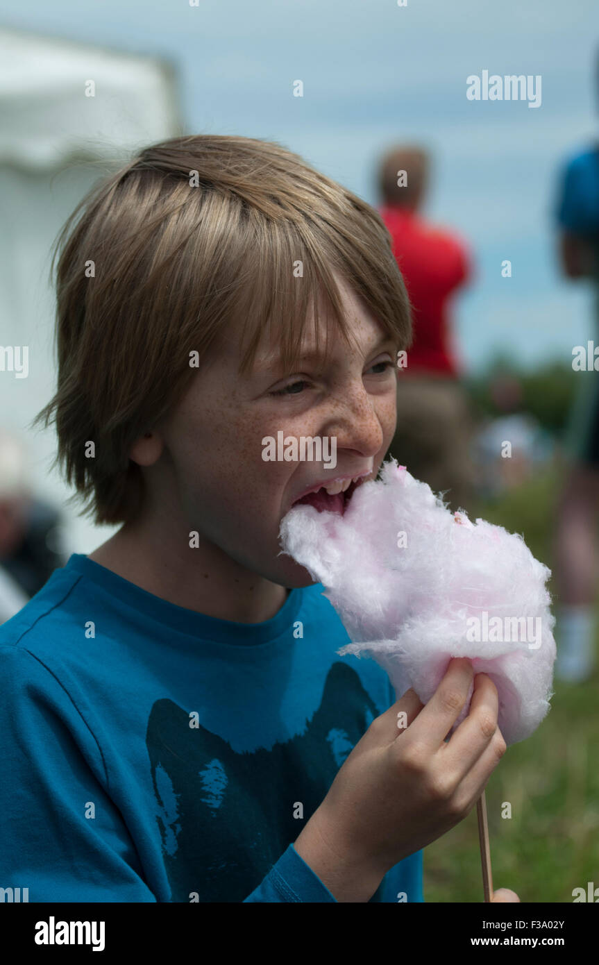 Boy eating candy floss Stock Photo Alamy