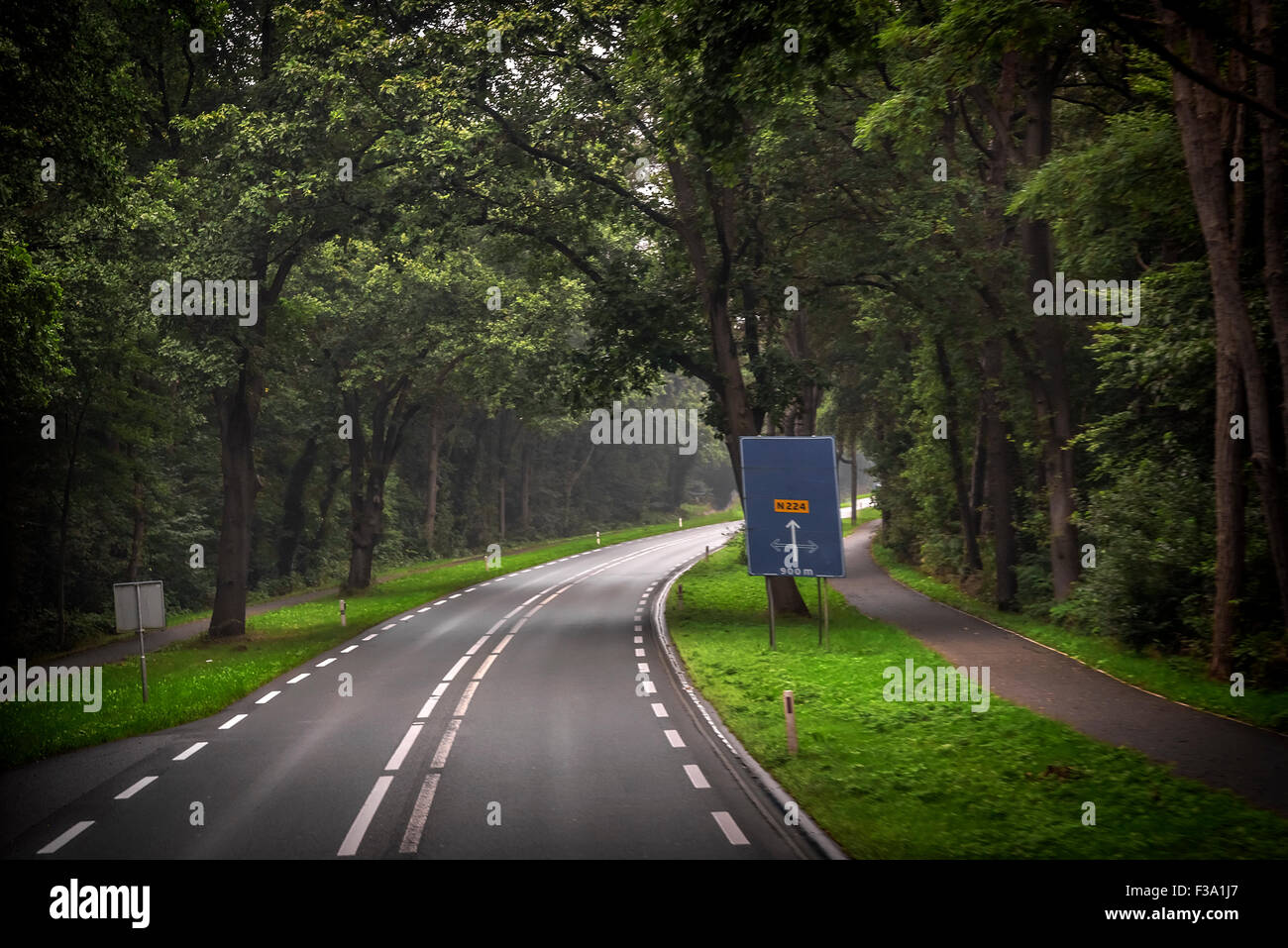 Asphalt road and forest Stock Photo - Alamy