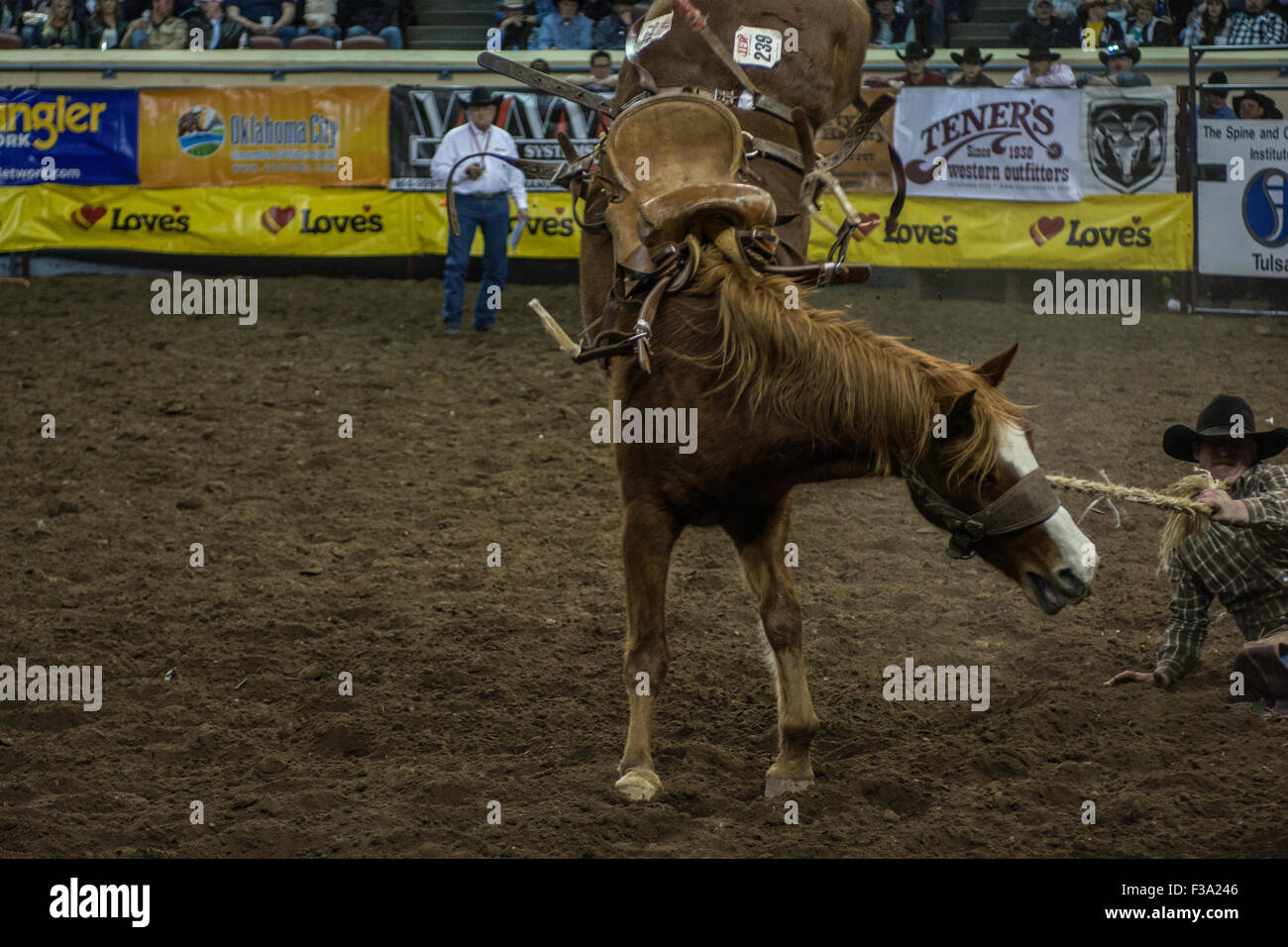 Cowboy riding bucking horse during rodeo in Oklahoma City, Oklahoma