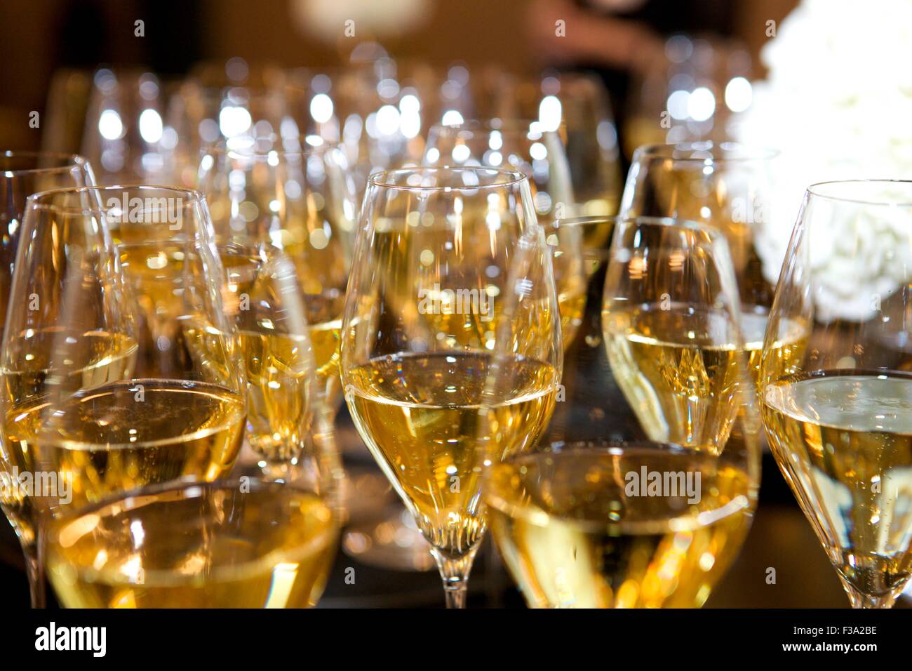 champagne in flute glasses Stock Photo Alamy
