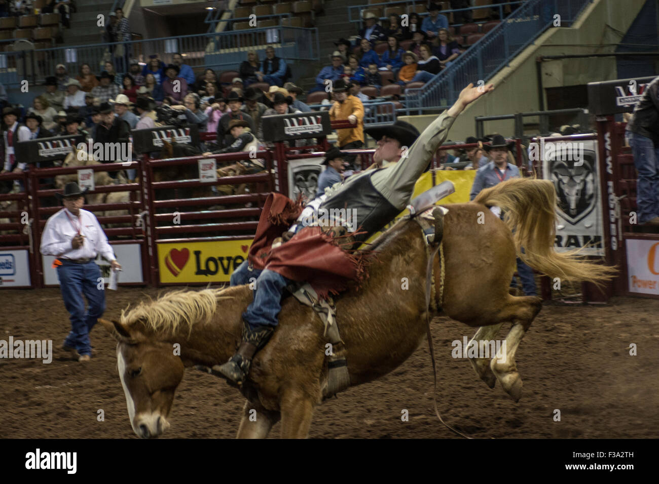 Cowboy riding bucking horse during rodeo in Oklahoma City, Oklahoma