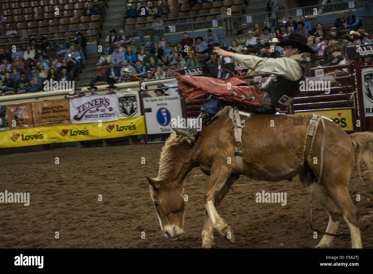 Cowboy riding bucking horse during rodeo in Oklahoma City, Oklahoma, USA. Stock Photo