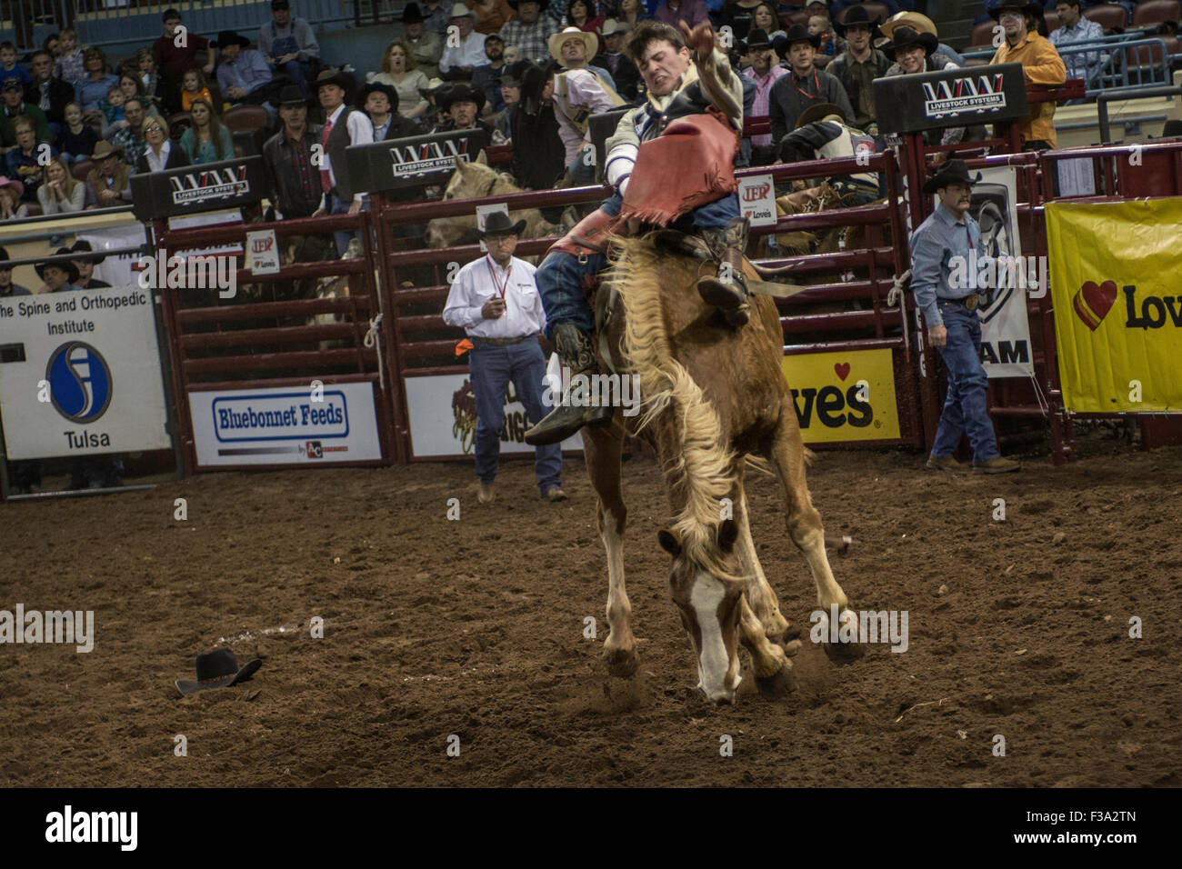 Cowboy riding bucking horse during rodeo in Oklahoma City, Oklahoma