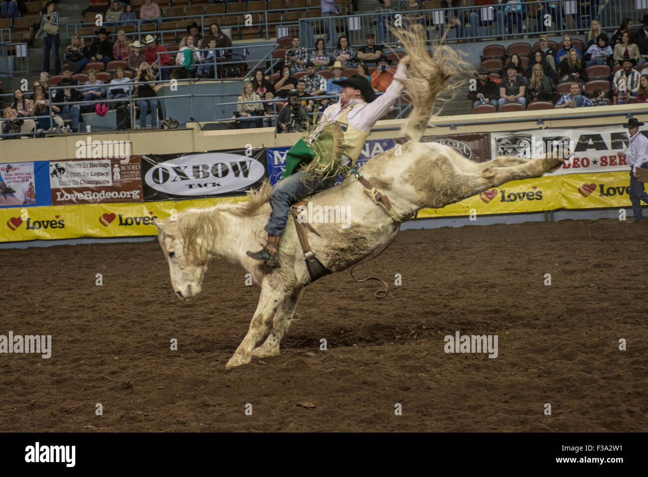 Cowboy riding bucking horse during rodeo in Oklahoma City, Oklahoma