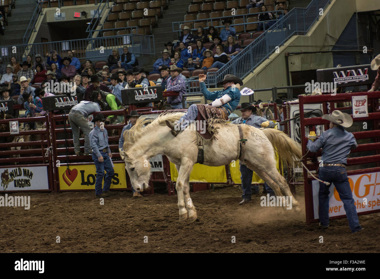 Cowboy riding bucking horse during rodeo in Oklahoma City, Oklahoma