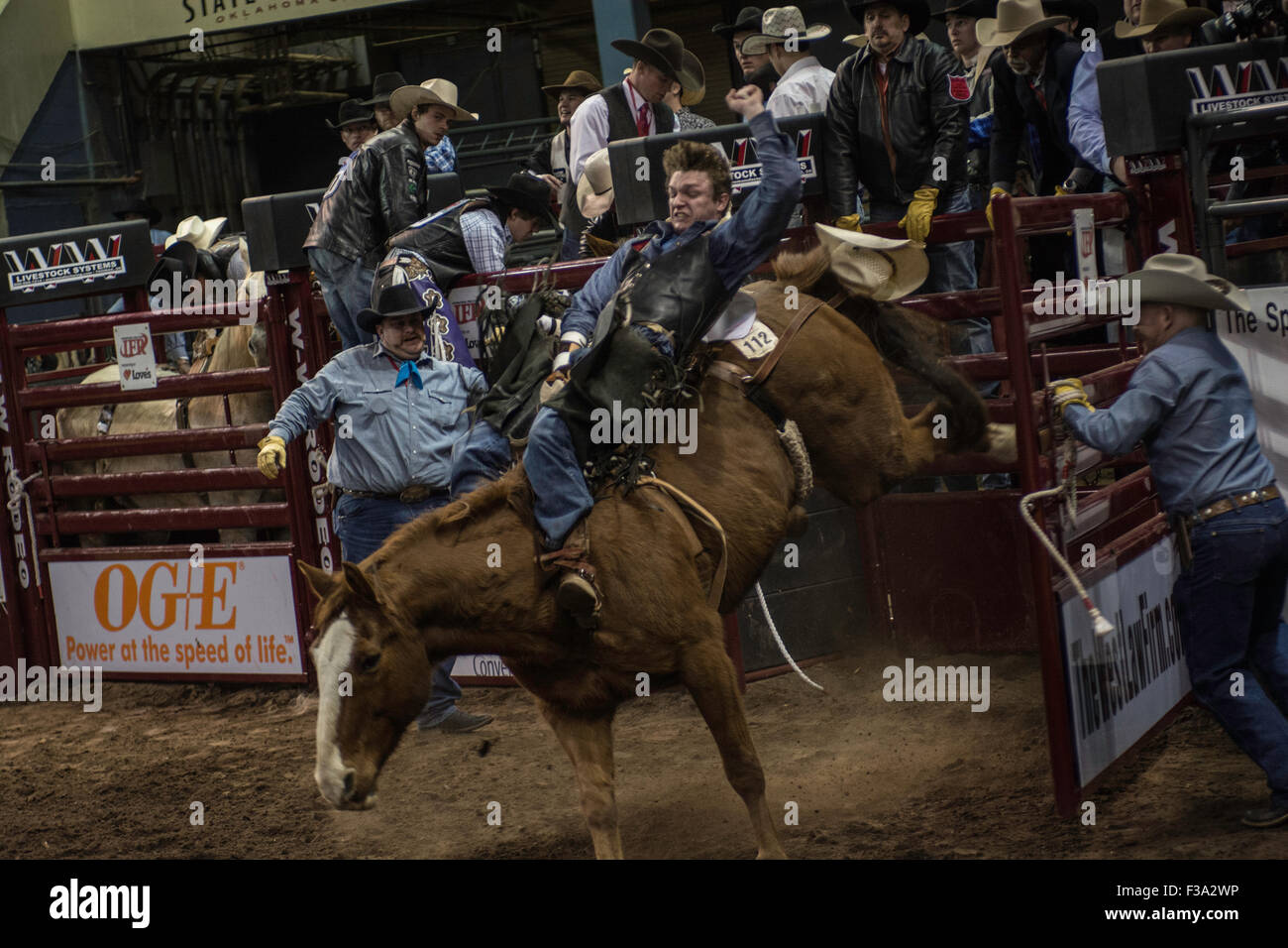 Cowboy riding bucking horse during rodeo in Oklahoma City, Oklahoma