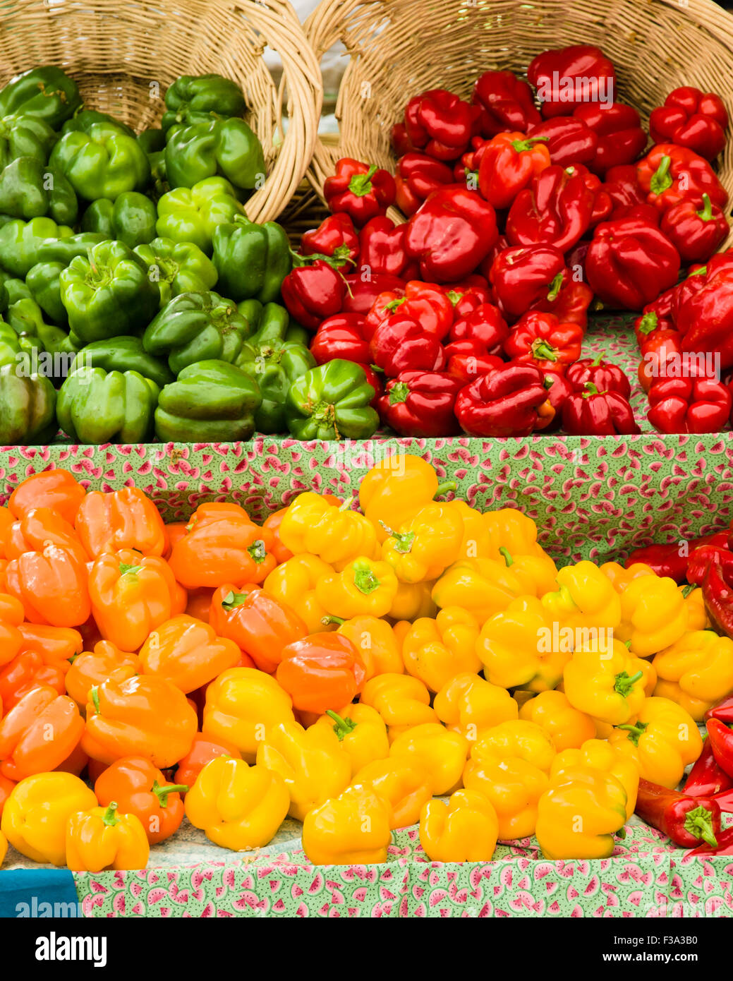 Bell pepper harvest hi-res stock photography and images - Alamy