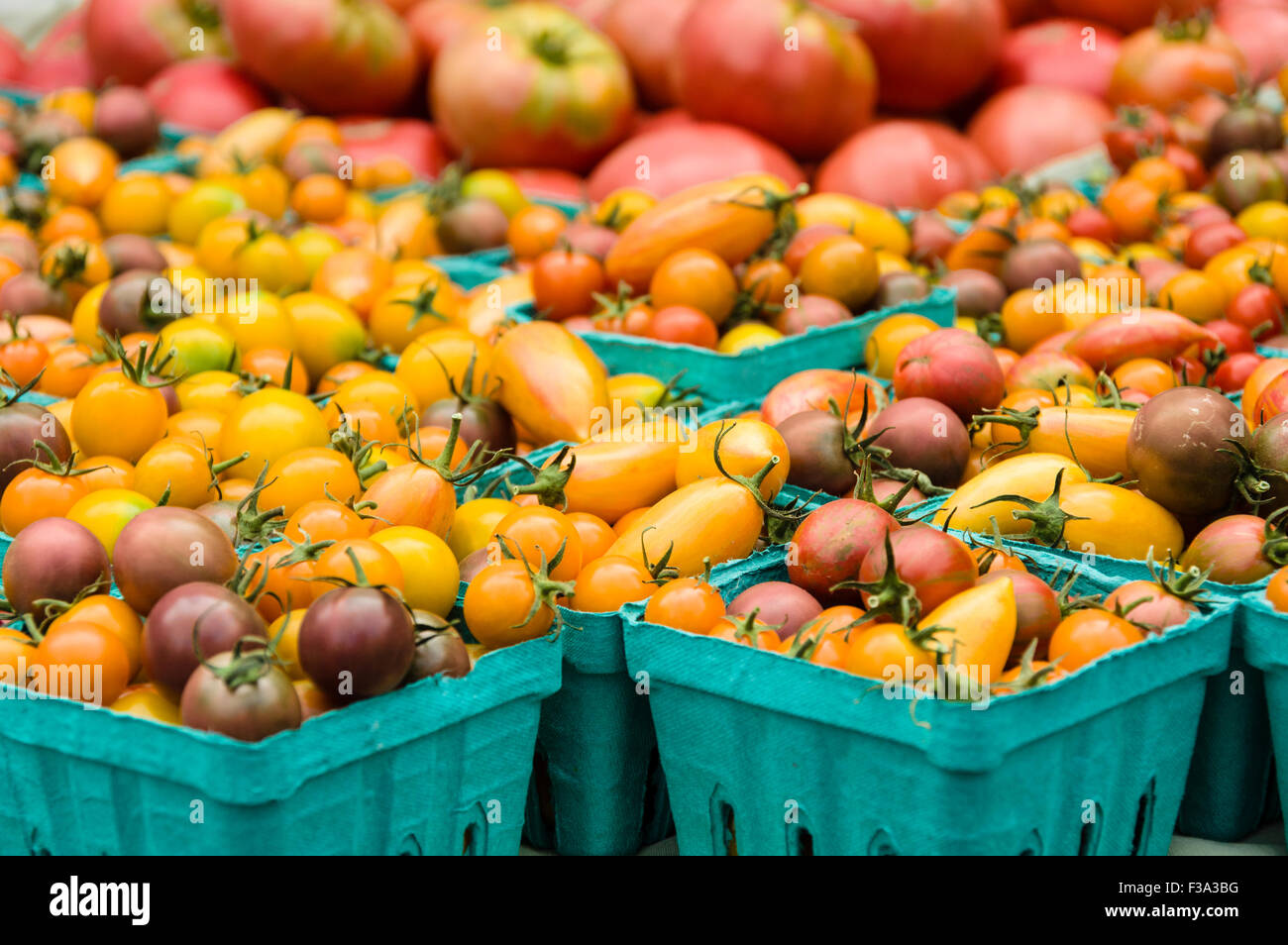 Boxes of small cherry tomatoes on display at the market Stock Photo Alamy