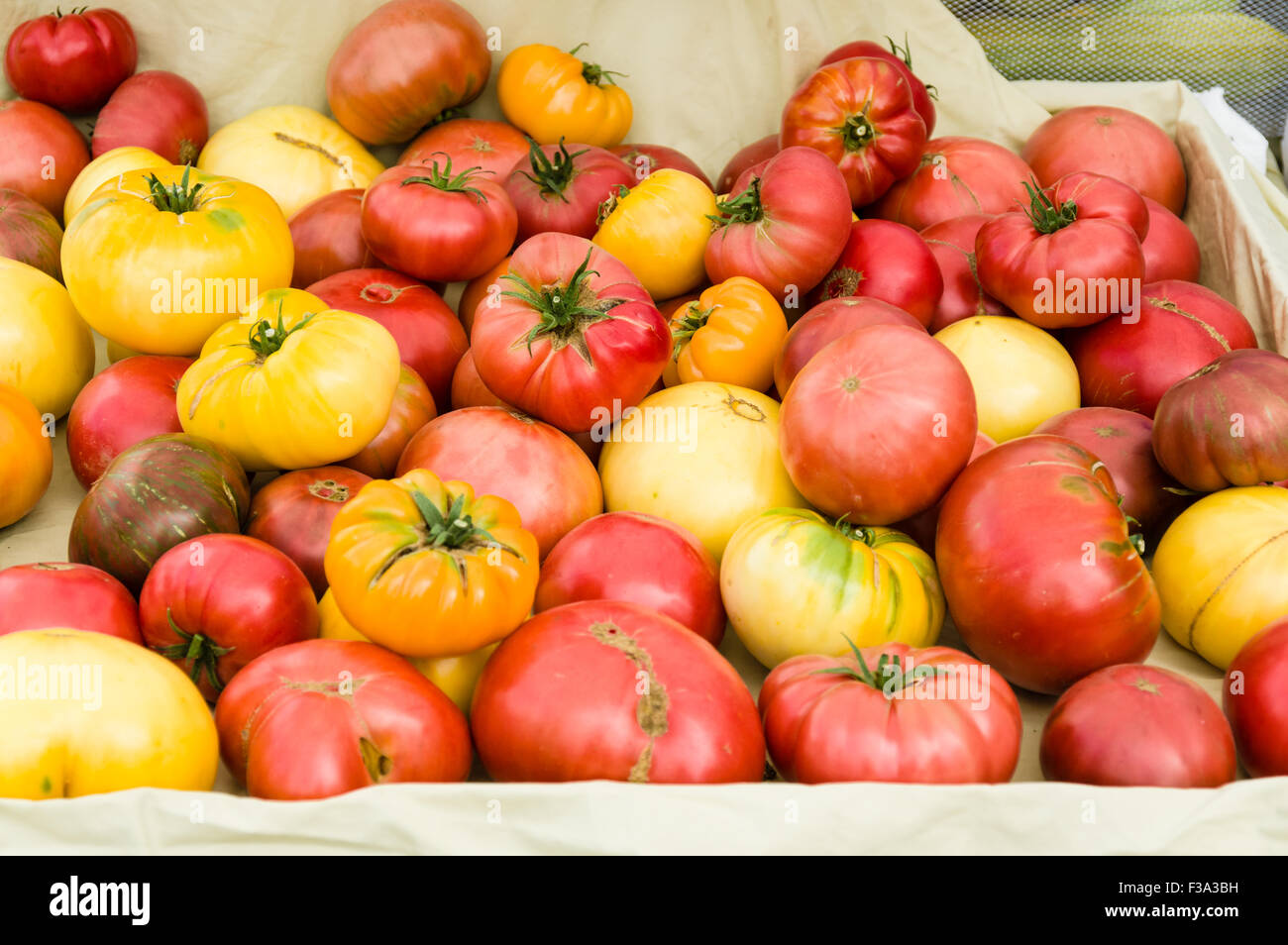 Heirloom tomatoes on display at the farmers market Stock Photo - Alamy