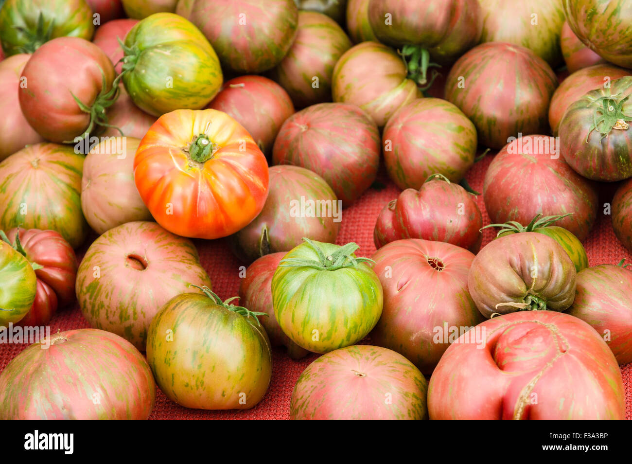 Heirloom tomatoes on display at the farmers market Stock Photo - Alamy