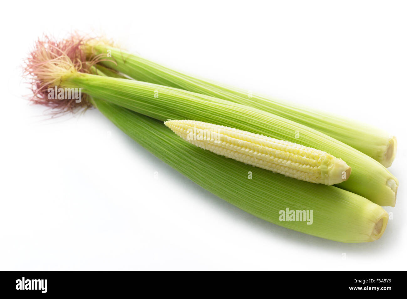 Baby corns isolated on white background and clipping path Stock Photo