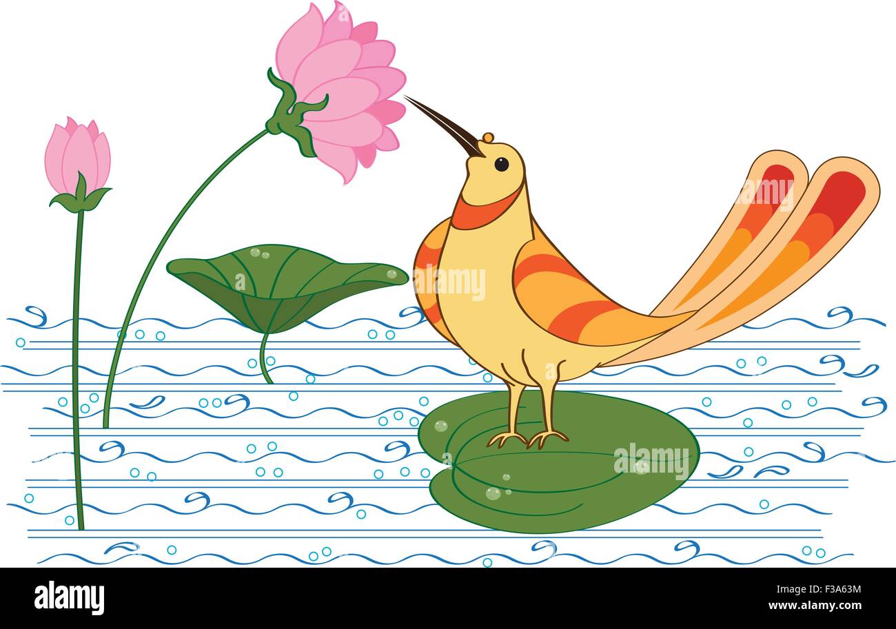 Bird Drinking Nectar (Sugar Water) From Lotus Flower Vector Art Stock
