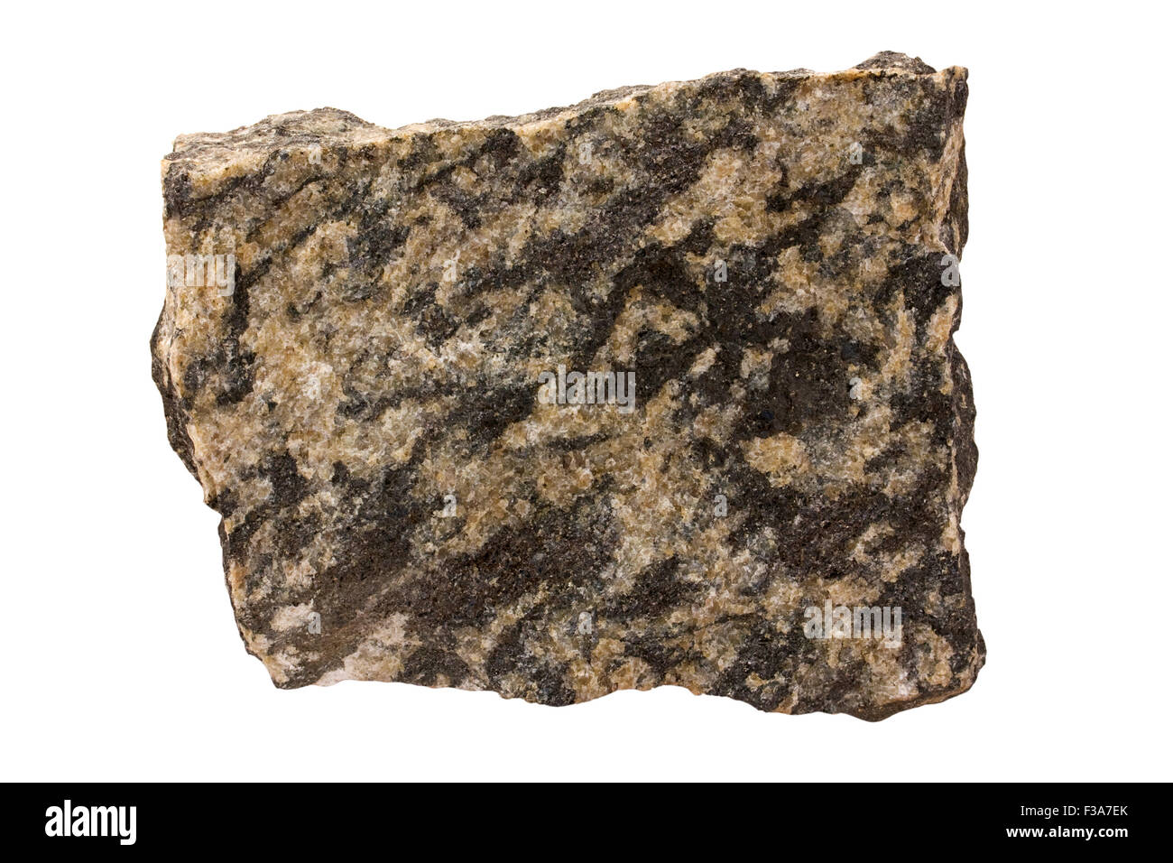 Monzonite rock sample Stock Photo