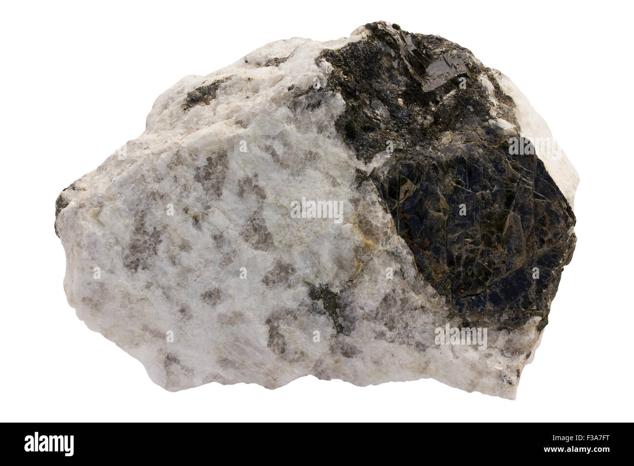 Tonalite pegmatite with large biotite crystal Stock Photo