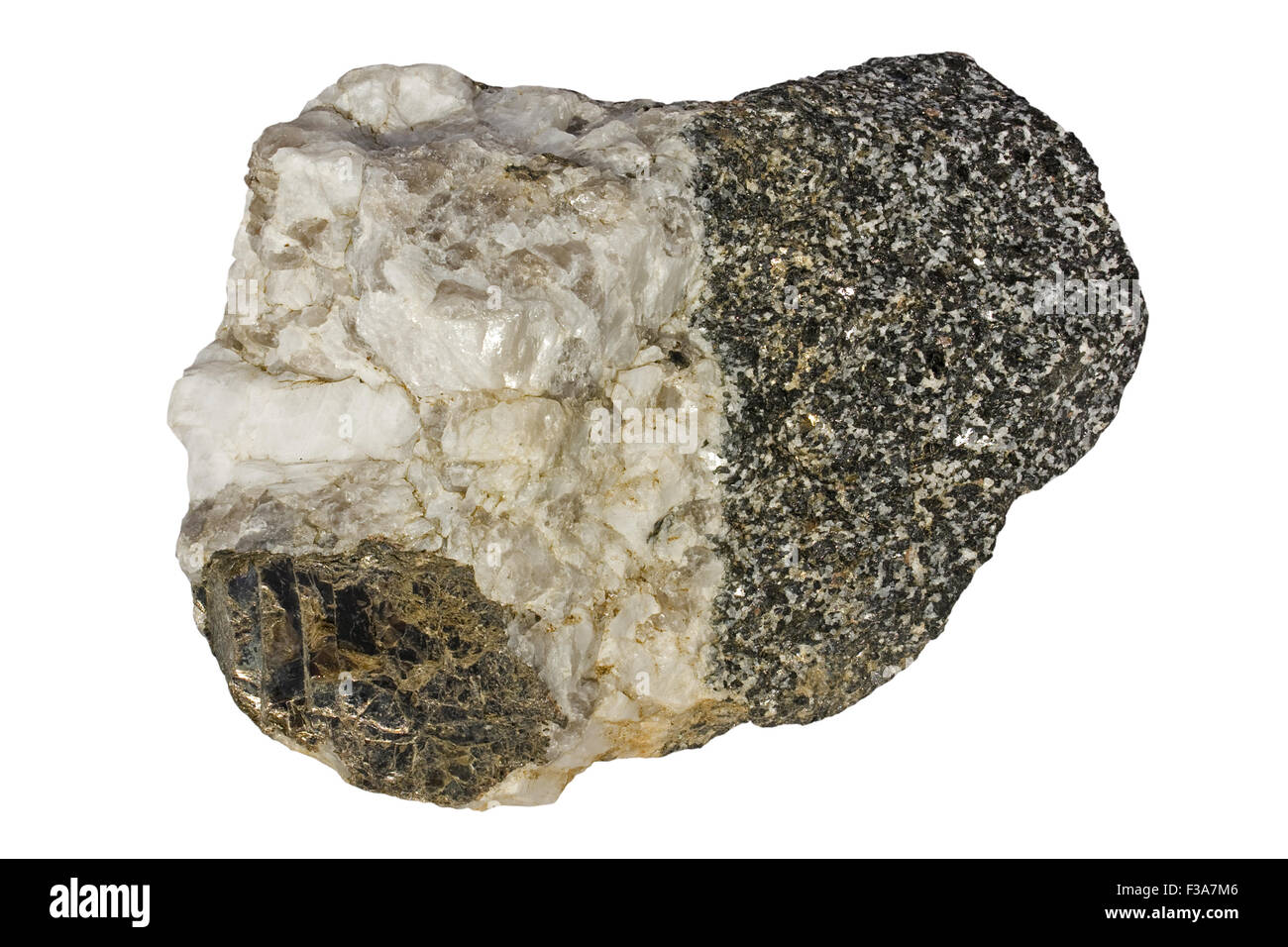 Amphibolite (on the left) with tonalite pegmatite. Biotite on the lower left. Stock Photo