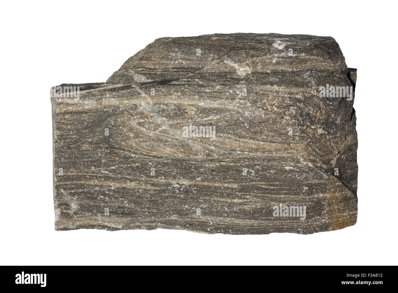 Metamorphosed mudstone (quartzitic slate) Stock Photo