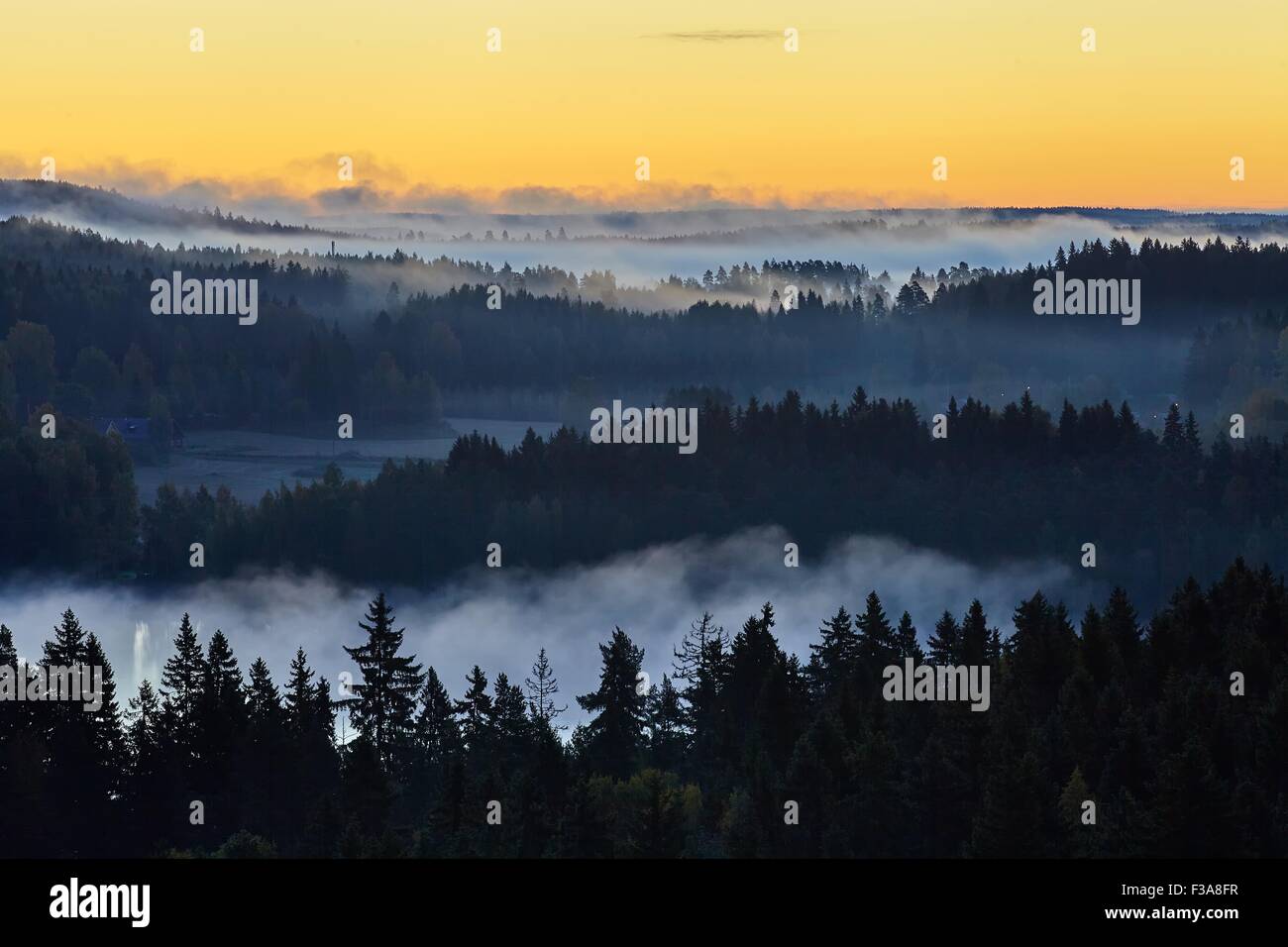 Forest lake aerial misty nature hi-res stock photography and images - Alamy