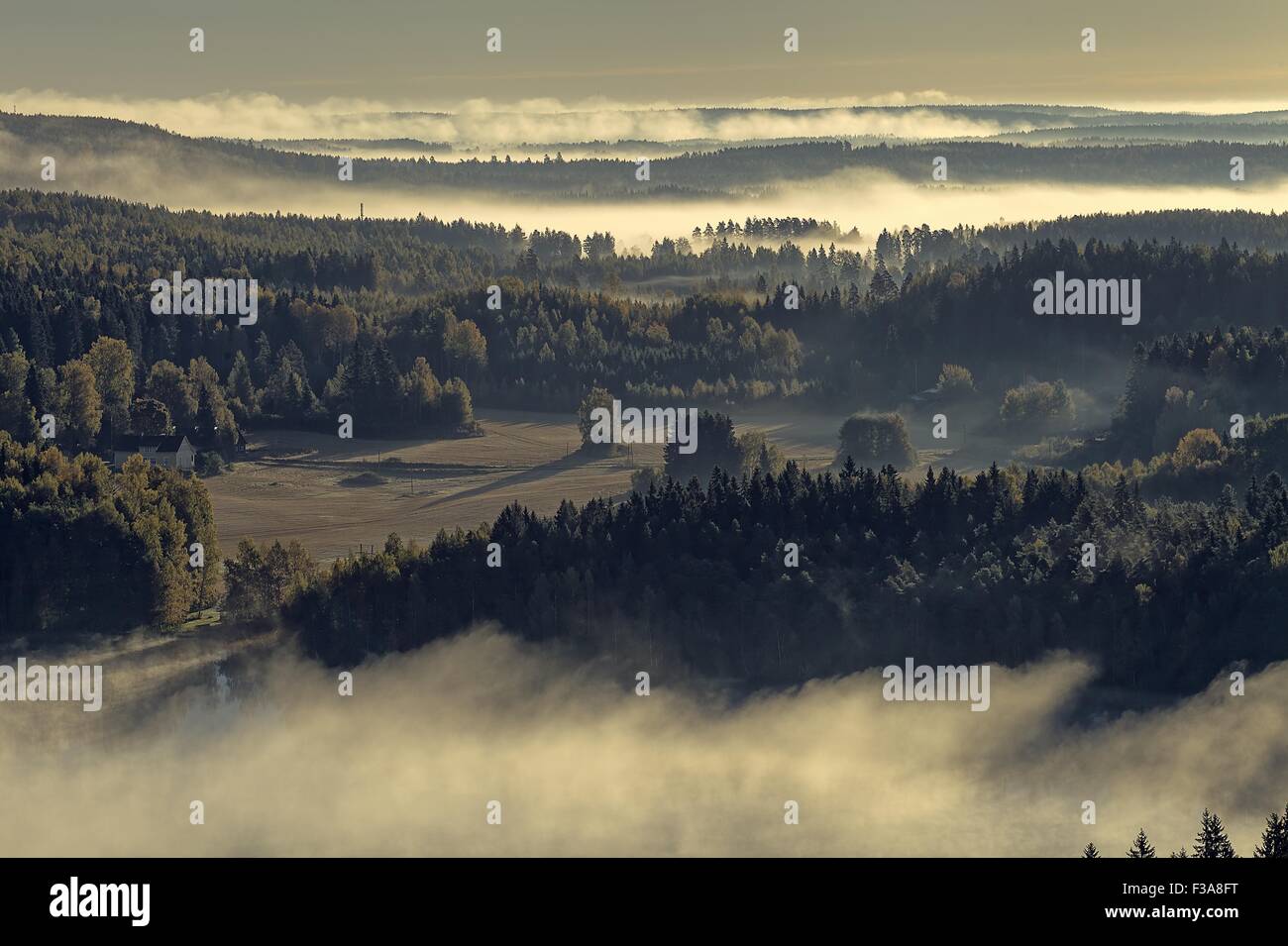 Beautiful landscape of Aulanko nature reserve park in Finland. Thick fog covering the scene in the early morning. HDR image. Stock Photo