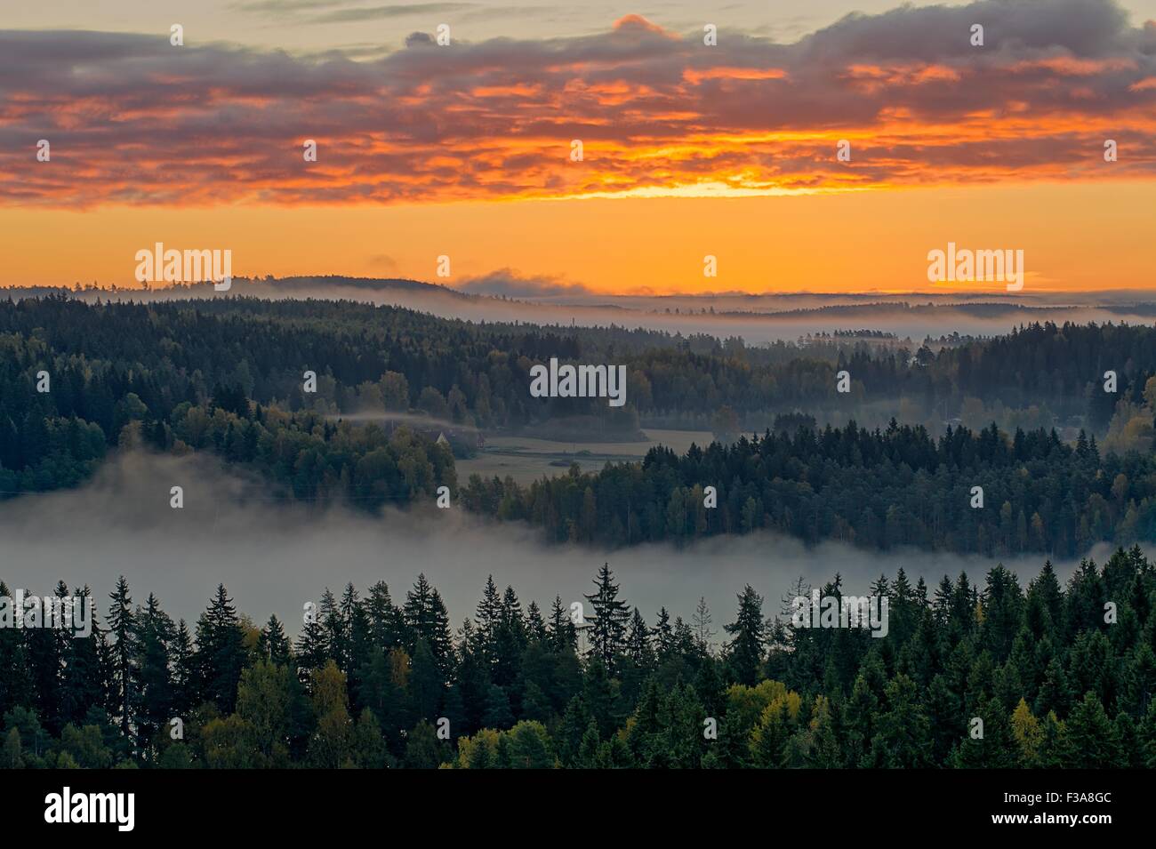 Dramatic HDR landscape of Aulanko nature reserve park in Finland. Thick fog covering the land in the early morning silence. Stock Photo