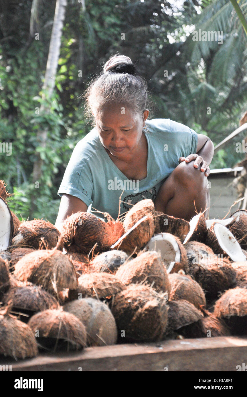 Old woman arrange coconuts on a wooden platform in Natuna, Indonesia. Stock Photo