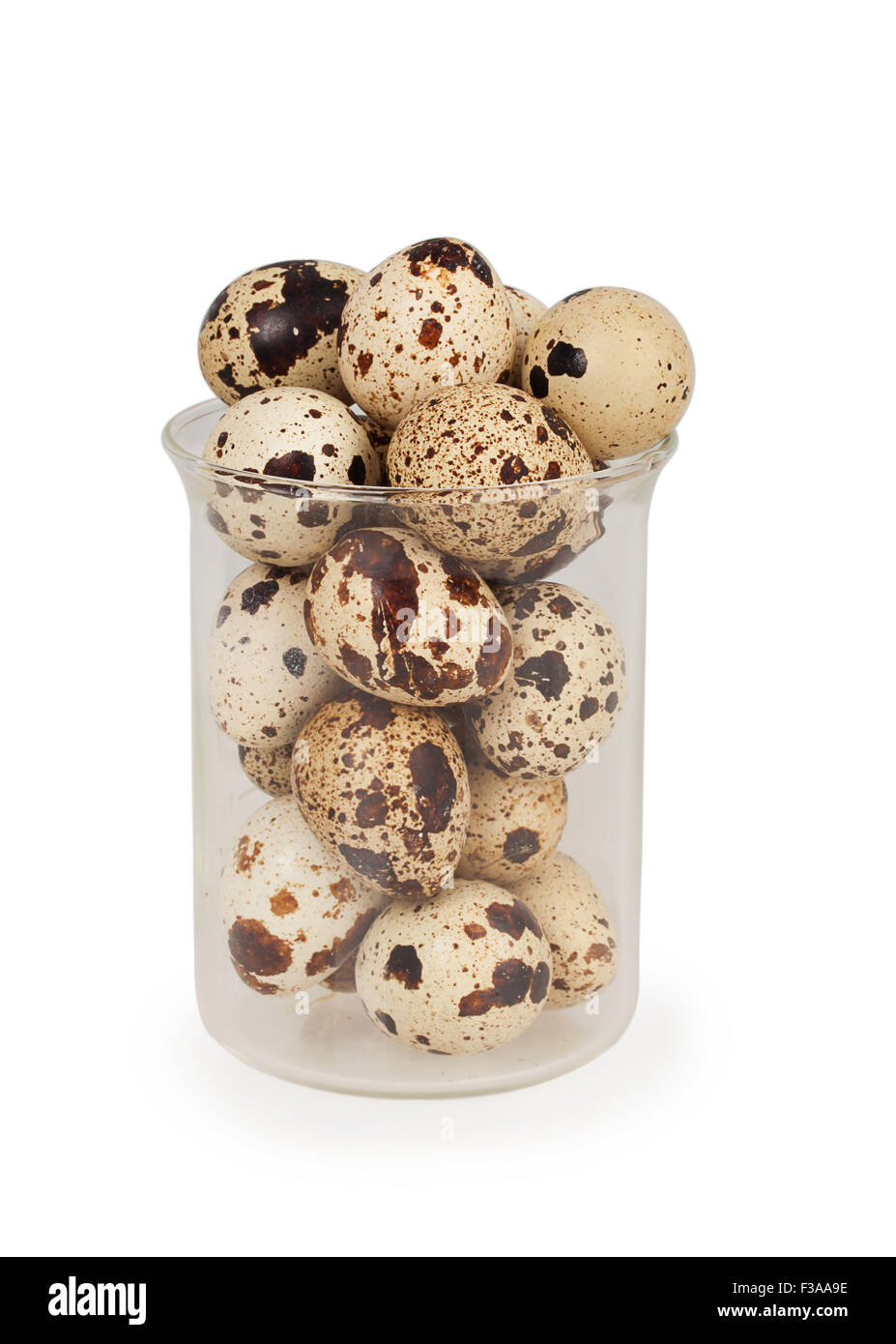 quail eggs in a glass isolated on white background Stock Photo Alamy