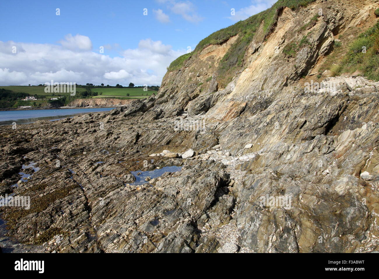 Falmouth's coast at low tide Stock Photo Alamy