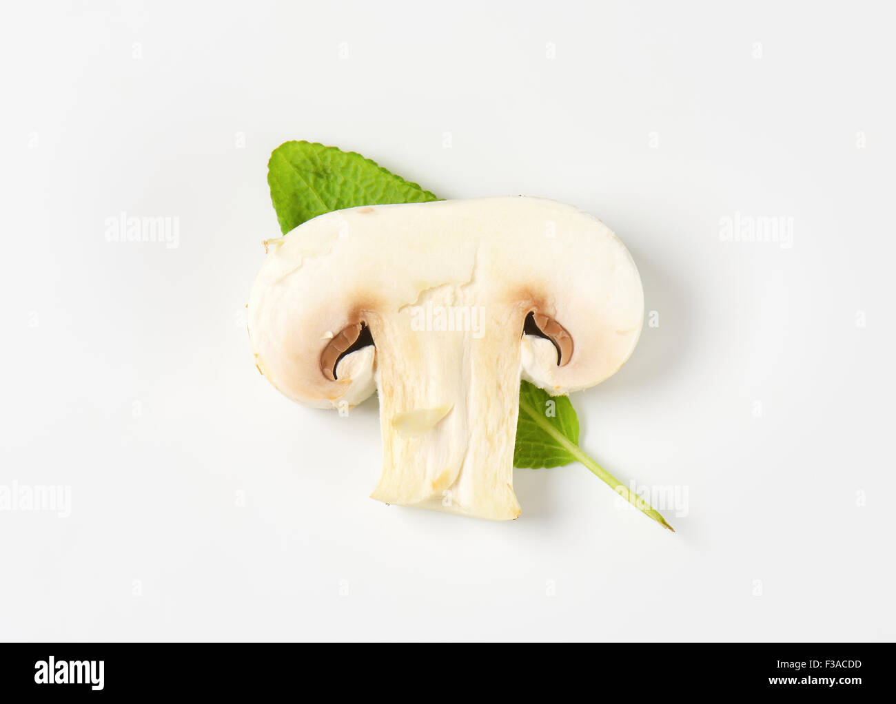 Slice of raw button mushroom and fresh sage leaf Stock Photo - Alamy