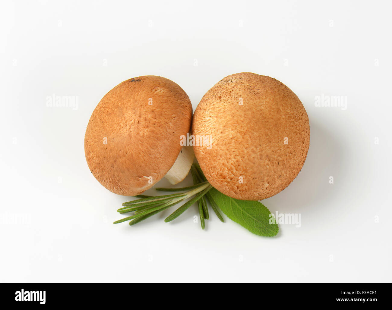 Two fresh Swiss Brown mushrooms Stock Photo Alamy