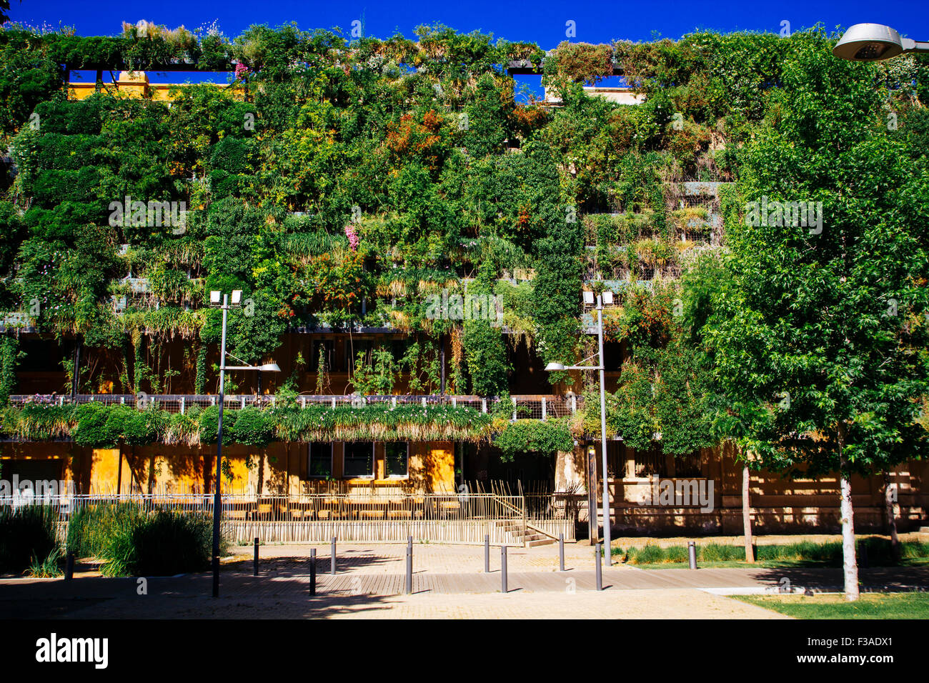 Green building, of sustainable architecture Stock Photo