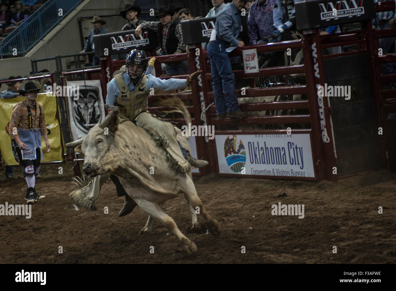 Cowboy riding bucking bull during rodeo in Oklahoma City, Oklahoma, USA