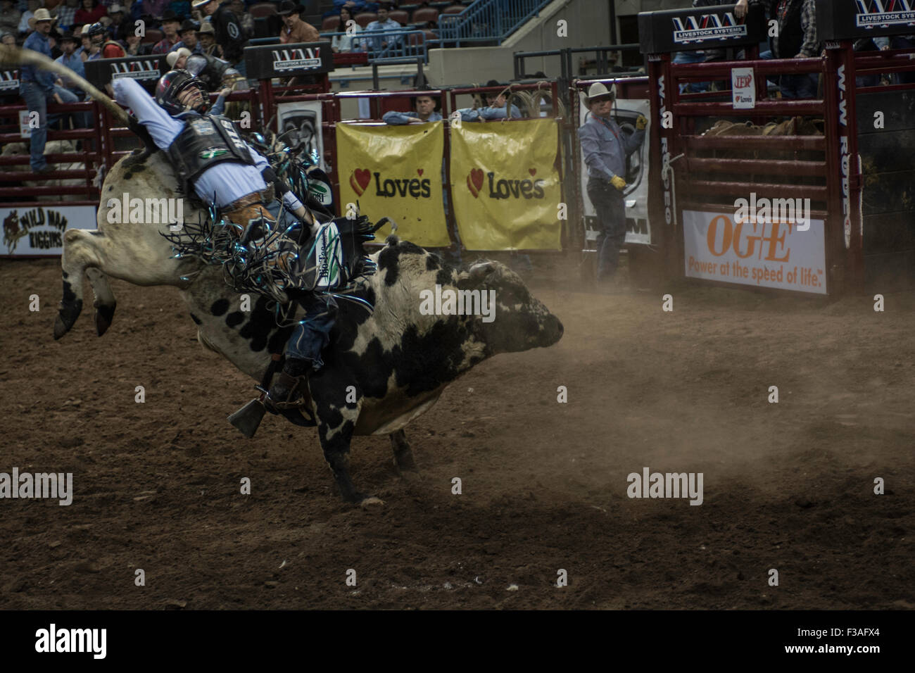 Cowboy riding bucking bull during rodeo in Oklahoma City, Oklahoma, USA