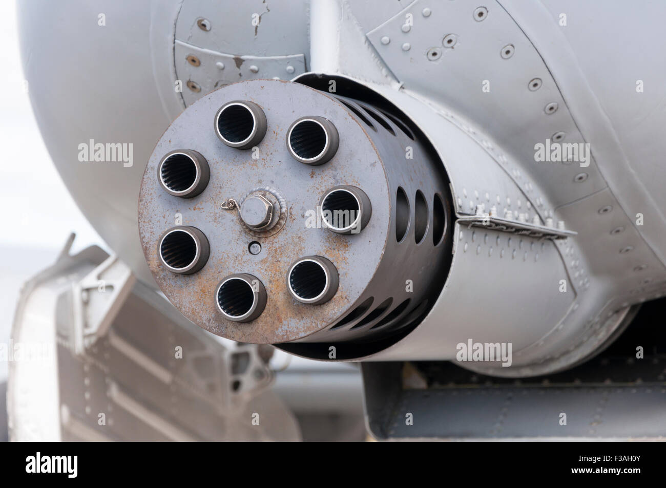 Close-up of the 30 mm GAU-8/A Avenger rotary autocannon in the nose of a Fairchild Republic A-10 Thunderbolt II Stock Photo