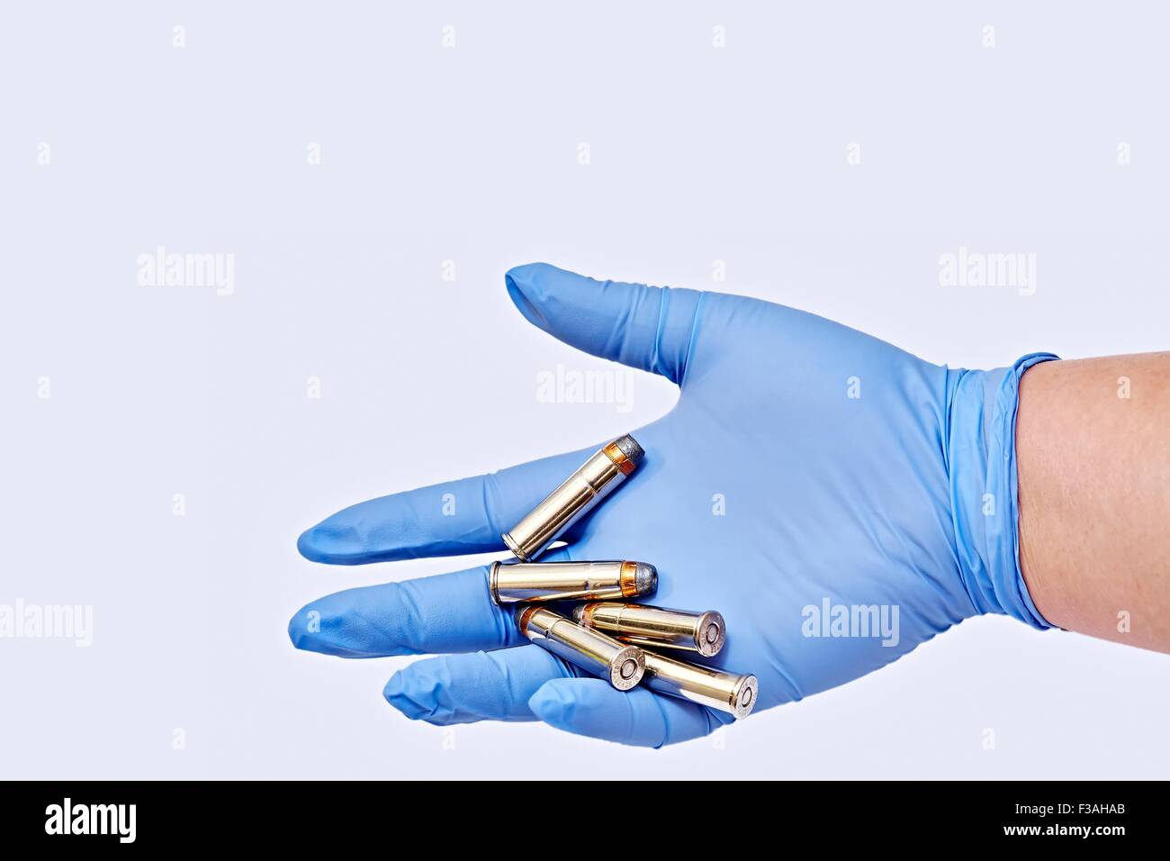 Hand Held 357 Magnum Cartridges Latex Glove 5 Stock Photo