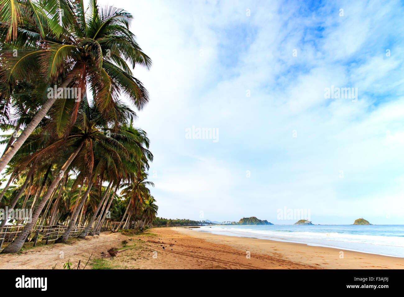 Tropical beach with coconut trees Stock Photo - Alamy
