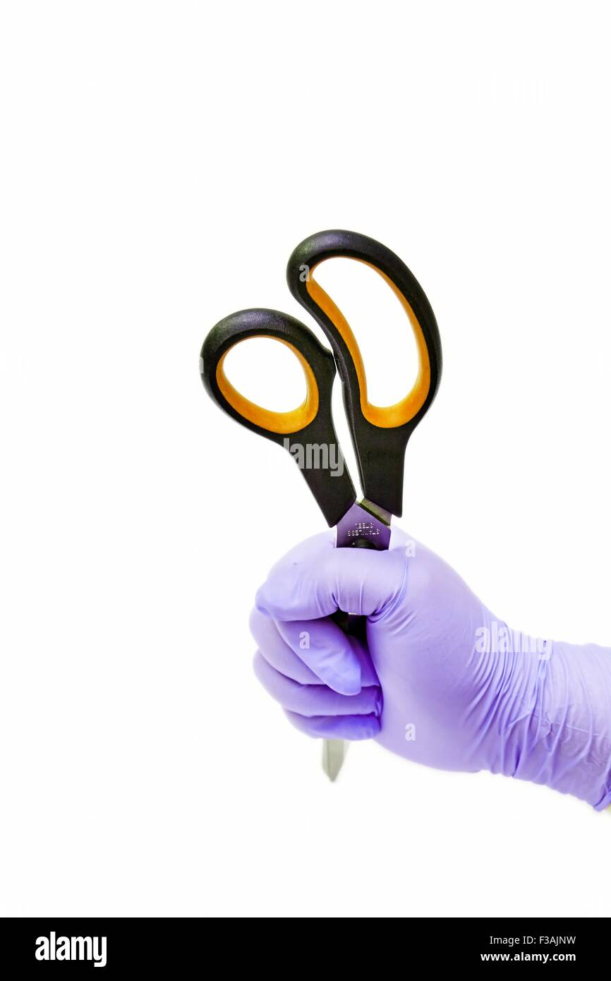 Stabbing Scissors Hand Held Latex Glove Evidence Demonstration Murder Intent Stock Photo