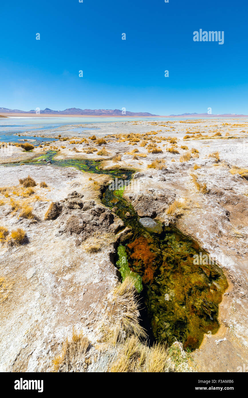 Colorful hot spring with deposits of minerals and algae on the Andean Highlands, Bolivia. Salt lake, mountain range and volcanos Stock Photo
