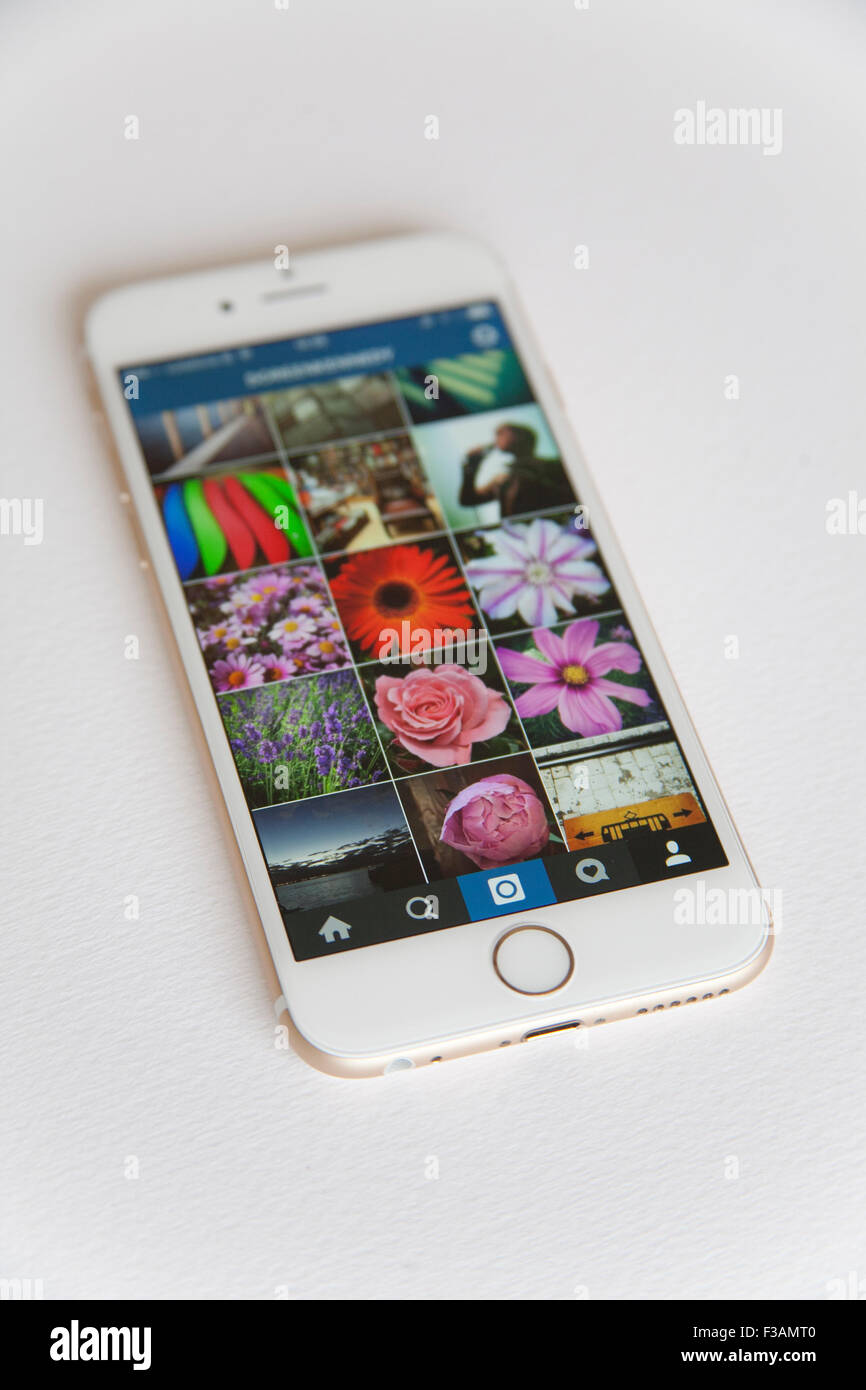 Gold and white Apple iPhone 6 with an Instagram photo feed against a white background Stock Photo