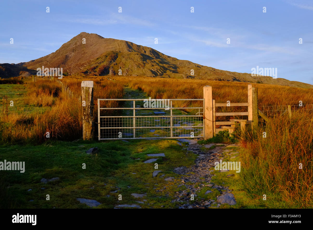 Moel Siabod in early morning light, Snowdonia, Wales Stock Photo